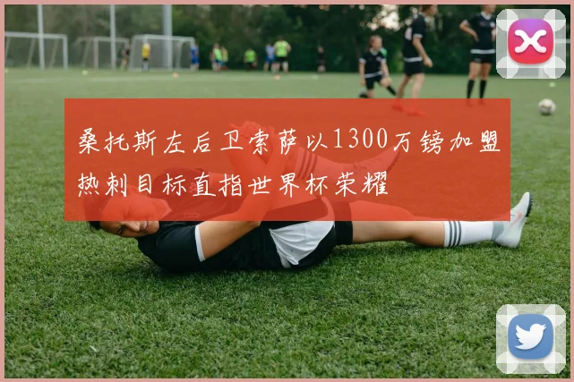 桑托斯左后卫索萨以1300万镑加盟热刺目标直指世界杯荣耀