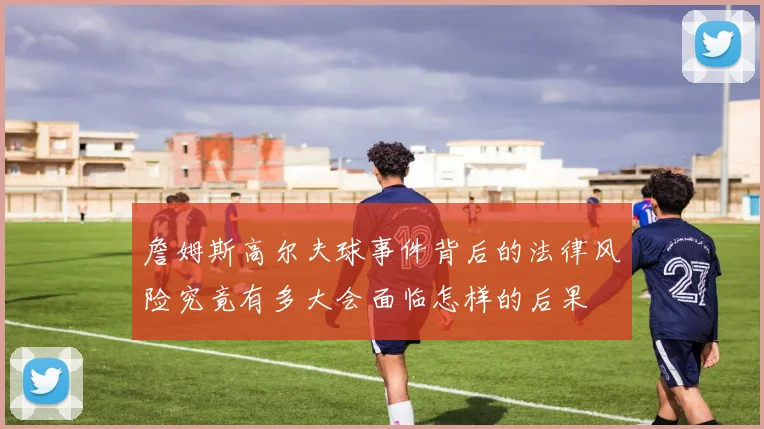 詹姆斯高尔夫球事件背后的法律风险究竟有多大会面临怎样的后果