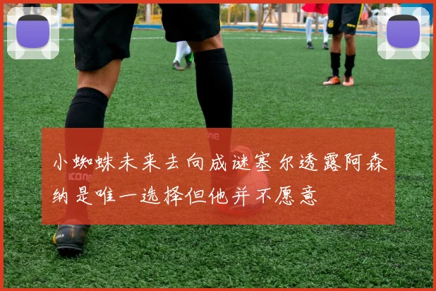 小蜘蛛未来去向成谜塞尔透露阿森纳是唯一选择但他并不愿意